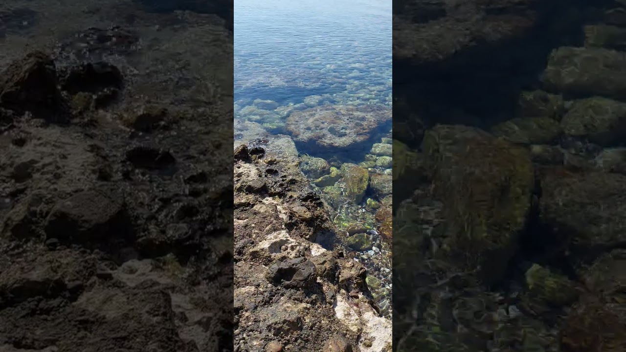 🪨🌊 Sea & Stones | A Few Seconds of Pure Calm ⏳