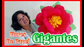 DIY / Como Hacer Flores De Papel Crepe / GIGANTES!