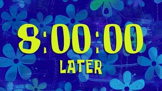Celebrity 8 Hour timer | 480 minutes timer | SpongeBob Net Worth