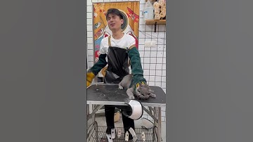 Most Aggressive Cat I’ve Ever Groomed #angrycat #grooming