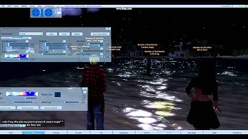 Hippo OpenSim Viewer 2011 01 22 15 45 46 98