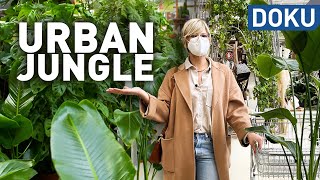 Urban Jungle  Der Hype um Zimmerpflanzen | dokus und reportagen