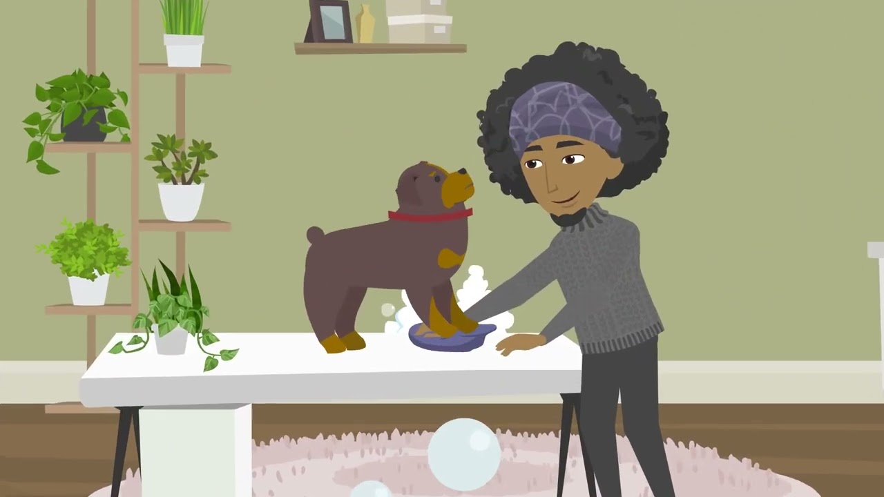 2D Animated Promotional Video HD