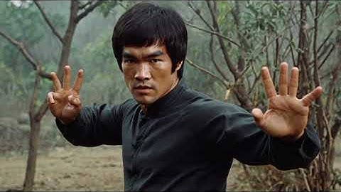 Bruce Lee Wild Power The True Meaning of Jungle Fury