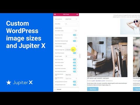 Custom WordPress image