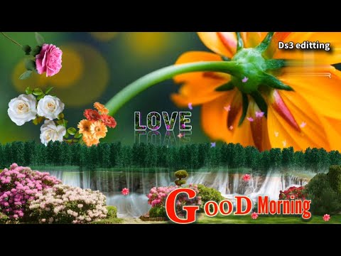  Good Morning Video  Santali Love Good Morning Video  Whatsapp Status Video Ds3editting