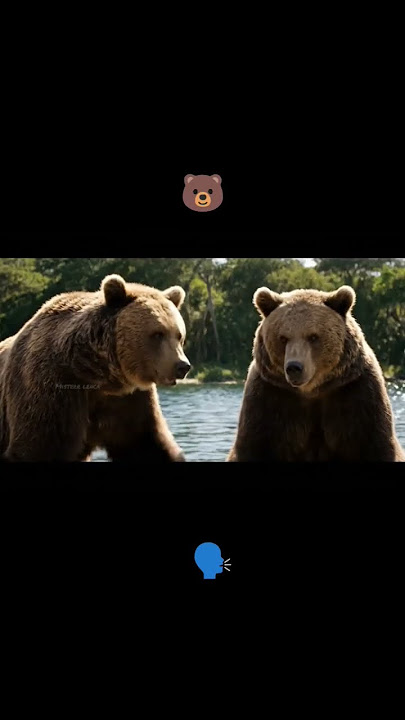 What is the difference