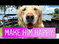 97 Ways to Make a Dog Smile