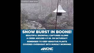 #shorts #shortsvideo: Snowburst in Boone, North Carolina