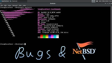 NetBSD 10 BETA + XFCE (VMware)‮