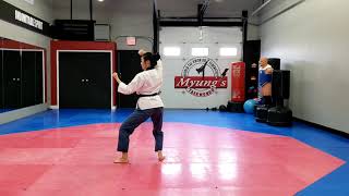 Taebaek Poomsae