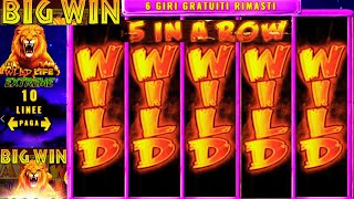 🔥 BIG WIN on SLOT WILD LIFE EXTREME 🦁💰 INSANE BONUS on IGT Provider! 🎰