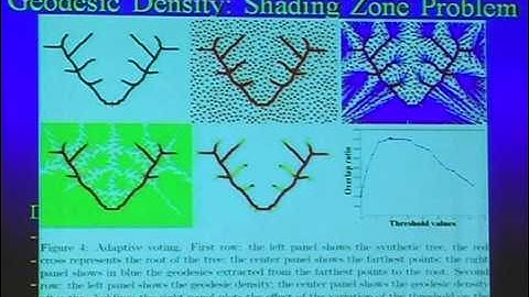 Geodesic Methods for Biomedical Image Segmentation - Prof. Laurent Cohen