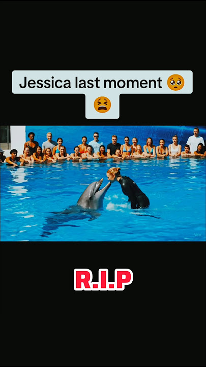 The Scary Last Moment Of Orca Trainer Jessica Radcliffe #jessicaradcliffe