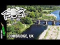 DJI Mavic Mini Drone Footage - Corbridge, Northumberland, UK
