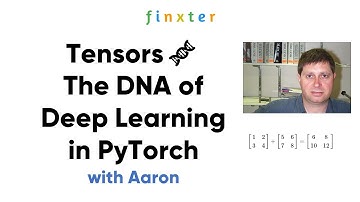 Tensors: The Vocabulary of Neural Networks