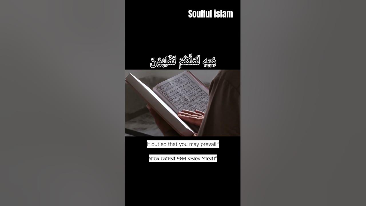 surah-fussilat-verse-26-and-27-beautiful-recitation-by-soulful-islam
