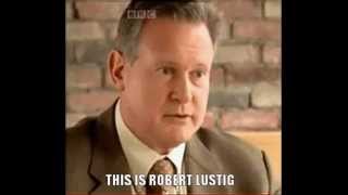 Fact-Check:Errors found in Robert Lustig's Sugar Bitter Truth-Fructose,Fat-Loss,Paleo,Low-Carb,Diets screenshot 1