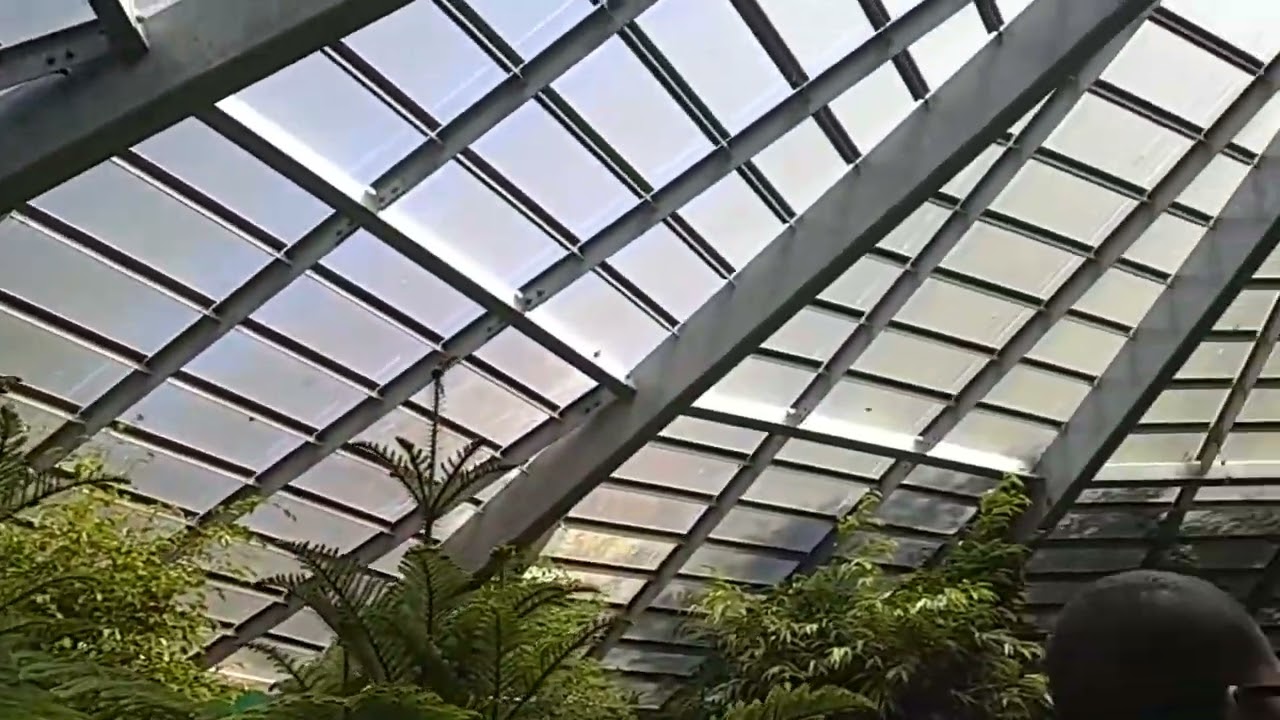 PTEX2 World Tour: The Butterfly Place - An Indoor Butterfly Garden🦋🌺