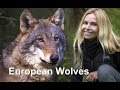 EUROPEAN WOLVES...UP CLOSE