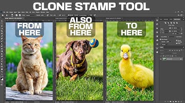 How to Use the Clone Stamp Tool within Multiple Tabs in Photoshop