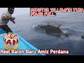 MONSTER YELLOWFIN TUNA HANDLINE FISHING || REEL BALON BARU AMIS PERDANA Spot Mancing kawanan Dolphin