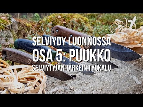 Video: Kuinka Veistää Jänis