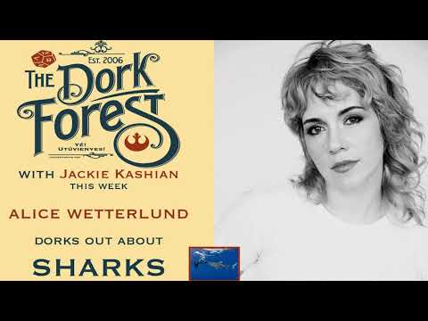 No tank for shark talk w Alice Wetterlund - Ep. 495