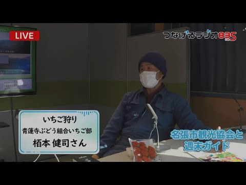 【名張市観光協会と週末ガイド】青蓮寺湖ぶどう組合いちご部　いちご狩り始まる！