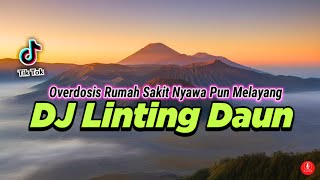 DJ REMIX LINTING DAUN - Dunya Musik | Lagu Terbaru 2025