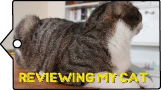 Reviewing My Cat 🐈| Swag
I filmed my cat again. Judge away.
So Ive had my cat for nearly three years now and he always wants attention at the worst times. Hence this video. There I was ready to film about shoes or curtains or some other dreary crap when up onto the table hops Mo. Mo is his name. Should clear that up...
So yeah. Ended up reviewing my cat. Im sure youll love it.
Got a cat? tell me about them down below in the comments (No, but please tho).
Follow me on Stuff!
Facebook: https://www.facebook.com/OvinicusYT
Twitter! https://twitter.com/ovinicus
Google +: https://plus.google.com/u/0/b/103735329960780110843/103735329960780110843/posts
http://instagram.com/ovinicus Reviewing My Cat 🐈| Swag