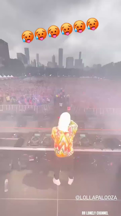 Alan Walker - Spectre live at Chicago Lollapalooza #alanwalker