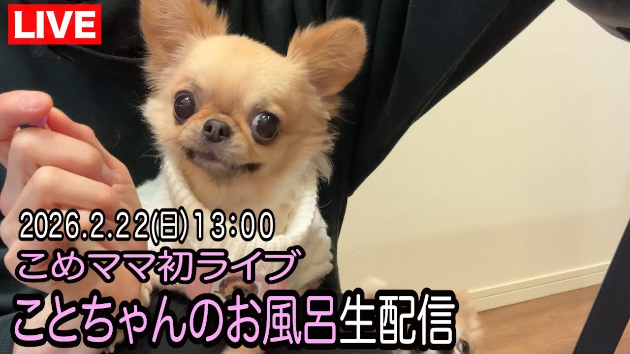 ことちゃんのお風呂生配信