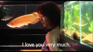 Cold Fish (2010) HD @munky2ube
