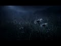 Dew & Silence | Dark Nature Ambient Before Dawn