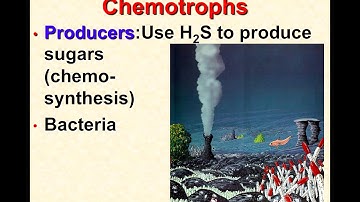 Communities Ecosystems 2017 18