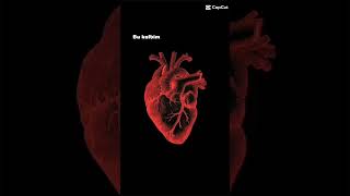 Başlık Yoogk Bulamadım