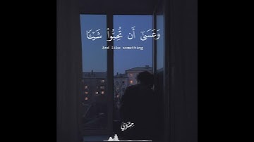 سورة البقرة - مشاري العفاسي ( وَعَسَىٰ أَن تَكْرَهُوا شَيْئًا وَهُوَ خَيْرٌ لَّكُمْ... )