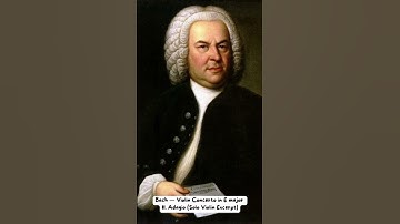 Bach — Violin Concerto in E major II. Adagio (Solo Violin Excerpt) #violin #baroque #music