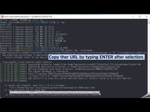 Pull Git Repo & Use JupyterLab