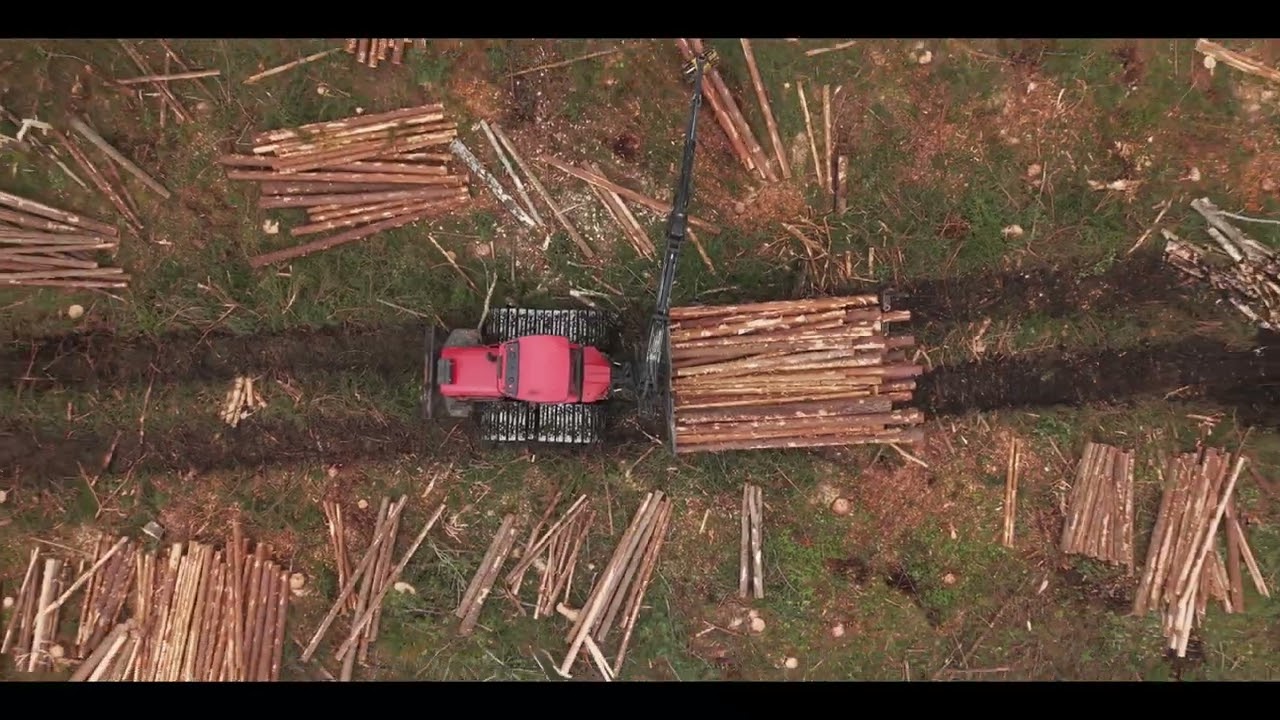 RMK metsamajandamise tehnika