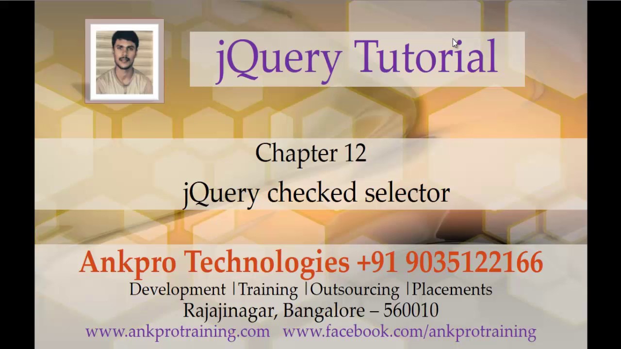 Jquery 12 - Selectors - Checked Selector