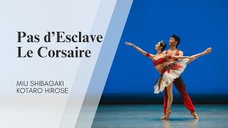 картинка: Pas d'esclave - Le Corsaire, Miu Shibagaki & Kotaro Hirose / Па де скляв из балета «Корсар»