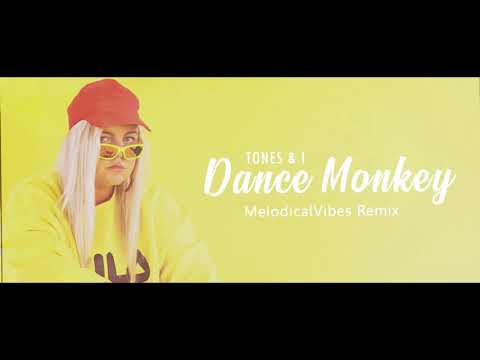 tones-&-i---dance-monkey-(melodicalvibes-remix)[moombahton]