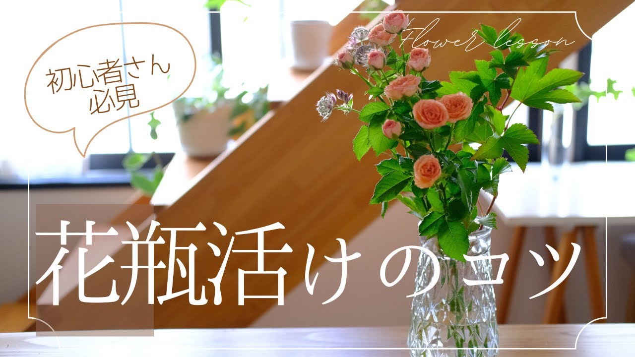 【初心者さん必見】花瓶にかわいく飾るコツ　スプレーバラを活けてみよう　花の活け方