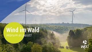 Wind im Wald: Warum es passt! (deutsch)