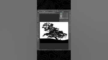 how to remove complex background in photoshop | remove tree background #complex #background #tree