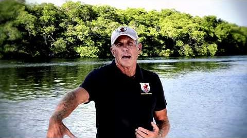 What Do I Do With My Hands While Swimming?