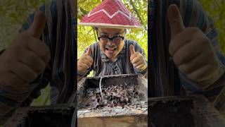 ASMR Drinking Wild Stingless Bee Honey Pots - 177 🍯 #shorts
