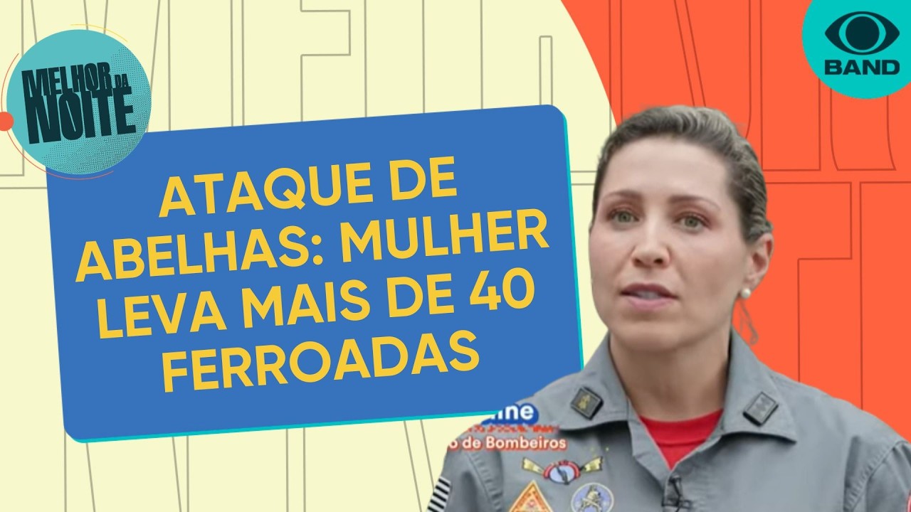 Alerta para ataques de abelhas; saiba o que fazer